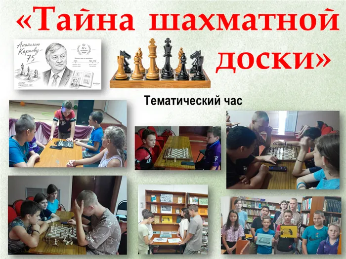 Шахматы