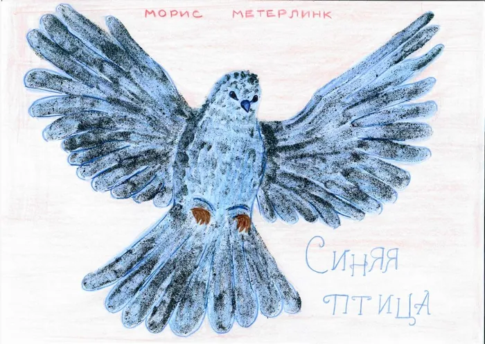 1 Довбня А. Синяя птица